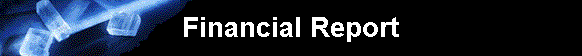  Financial Report 